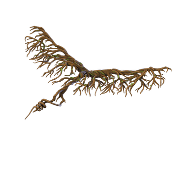 Root Wing