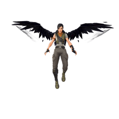 Wingspan