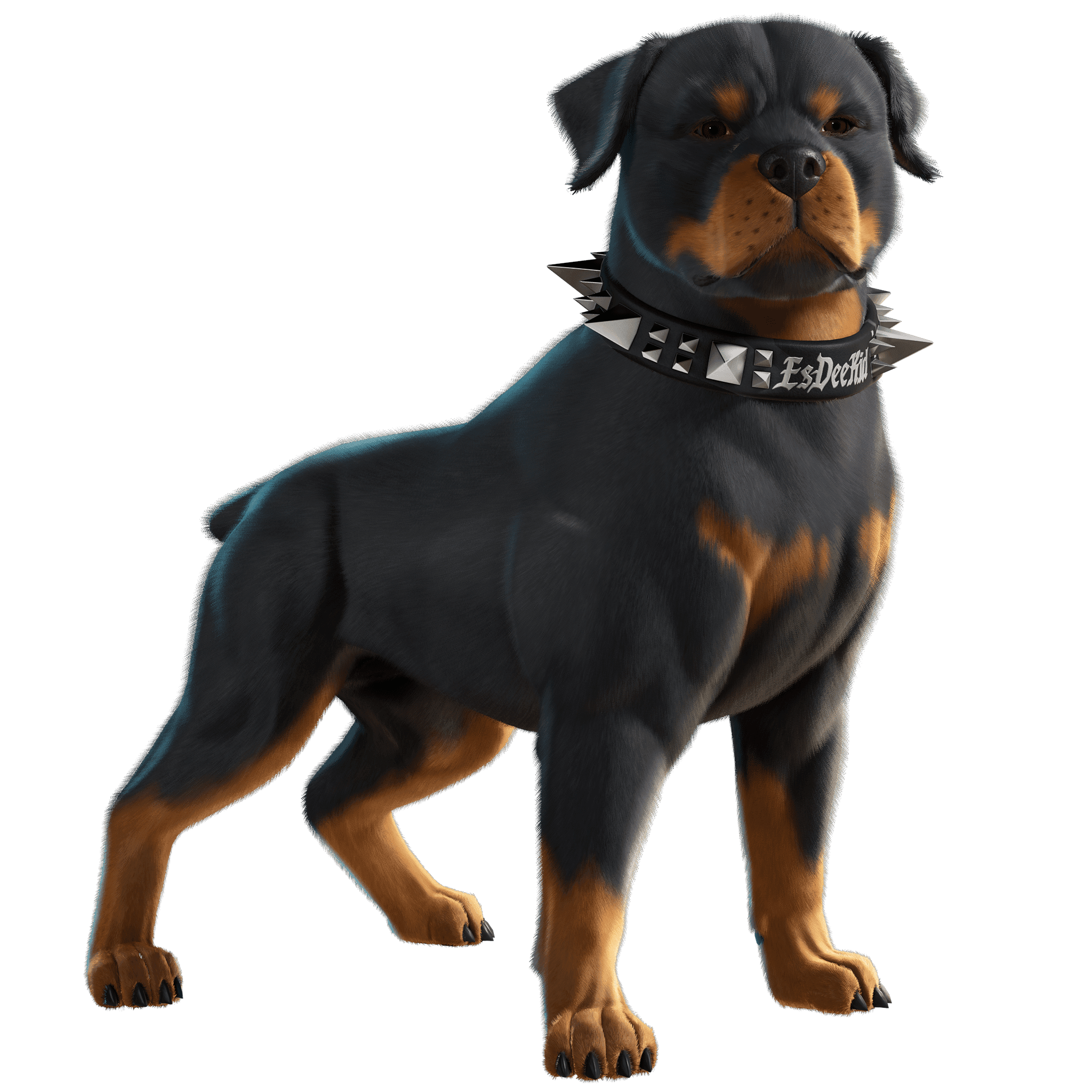 EsDeeKid's Canine