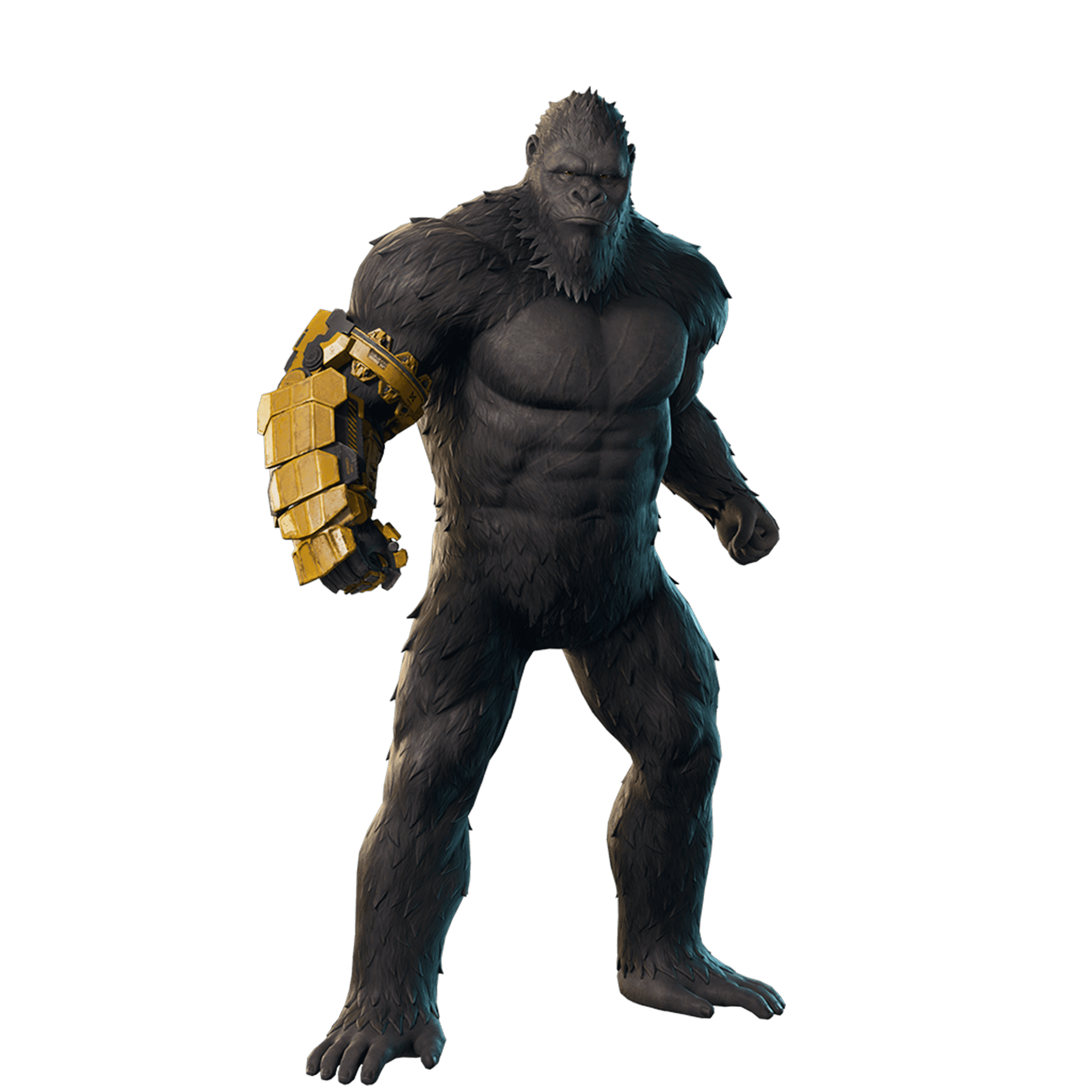 Kong