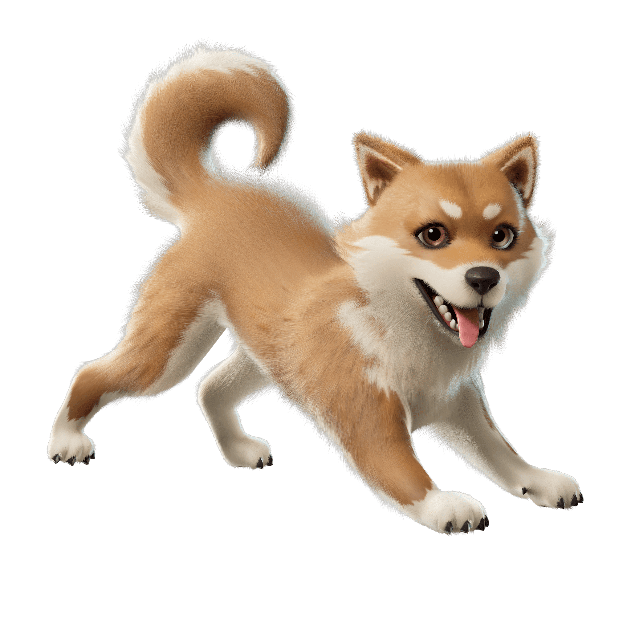 Miso
