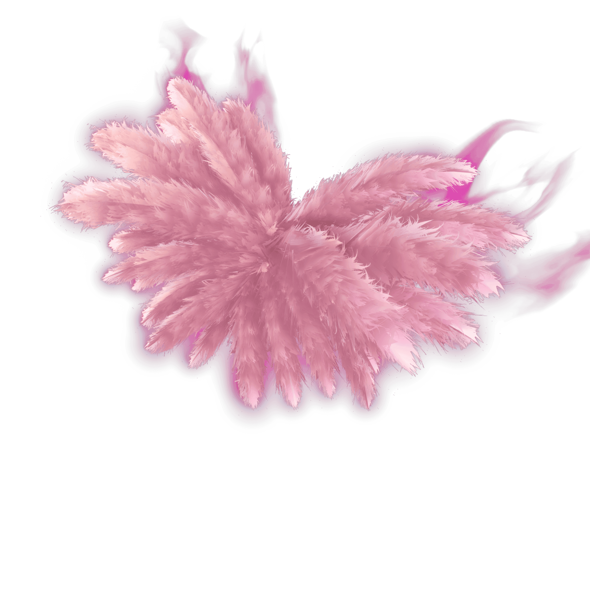 Madison's Angel Wings