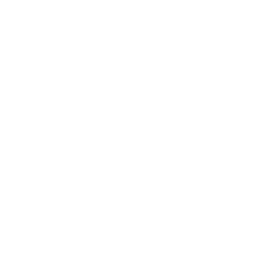 Ninja Style