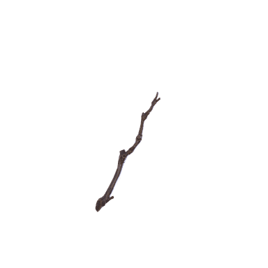 Winter's Wand