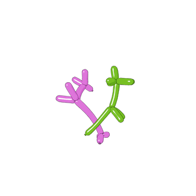 Balloon Animals
