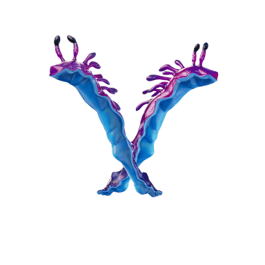 Scampi