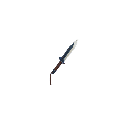 Combat Knife