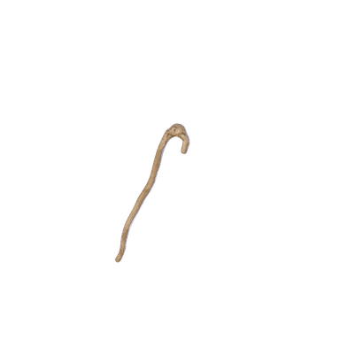 Yoda's Cane