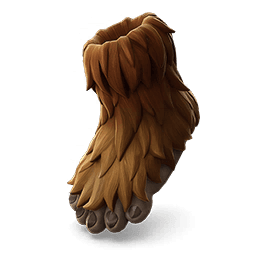 Wookiee Feet