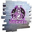 The Hacker