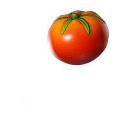 Tomato