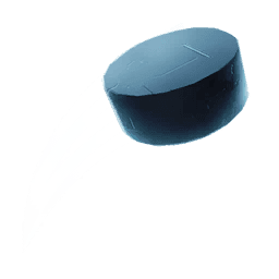Ice Puck