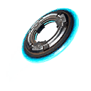Fancy Flying Disc
