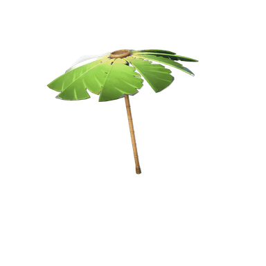 Palm Leaf