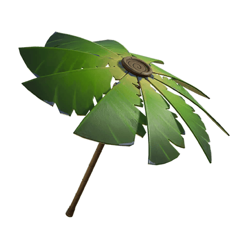 Palm Leaf