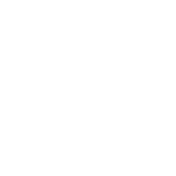 Starting Grid
