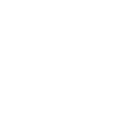 Super Sonic
