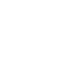 Platformer