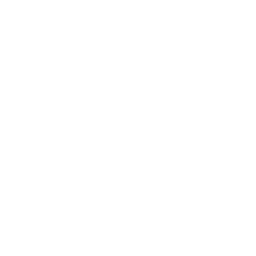 Flames
