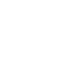 Victory Grey