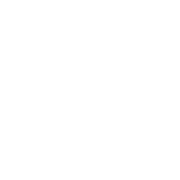 Lightning