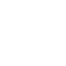 Stuntman