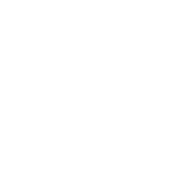 Brick Body