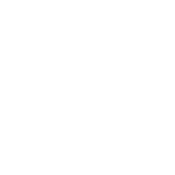 Solo Leveling:ARISE