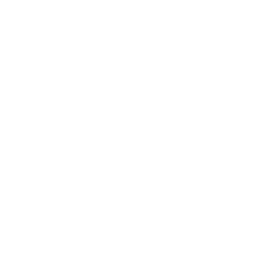 Shapeshifter
