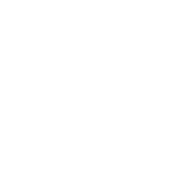DoodleBob Wagon