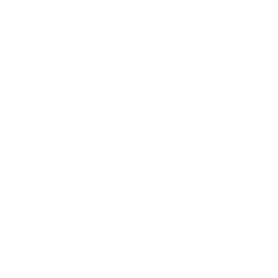 NBP