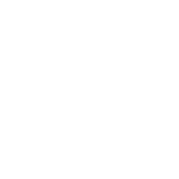 Wildfire