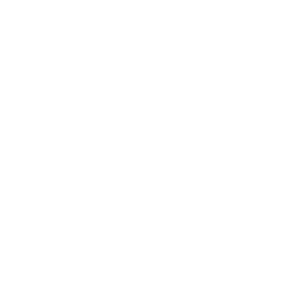 Kong