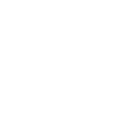 Gobo