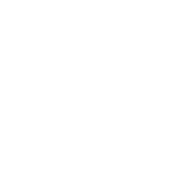 Wildfire