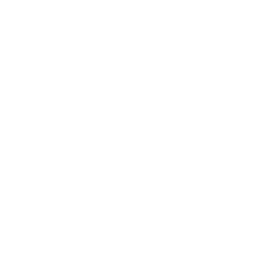 Rubber Duck