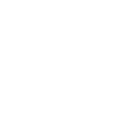 Adidas - F50