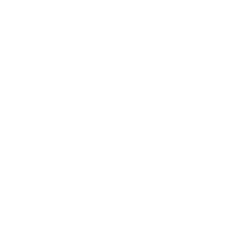 The Number