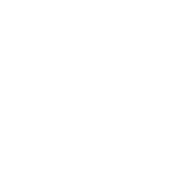 The Summit