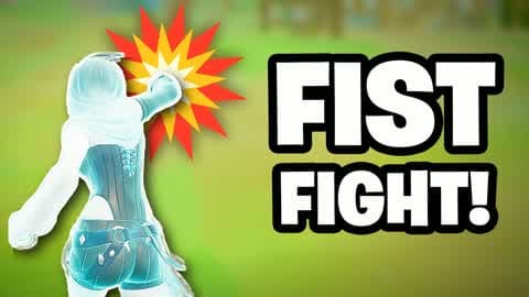 Fist Fight Zonewars