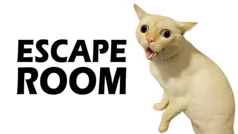 🔑 BeBe 😺 Escape Room 🧠