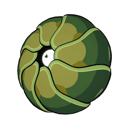 Pillbug Jerry
