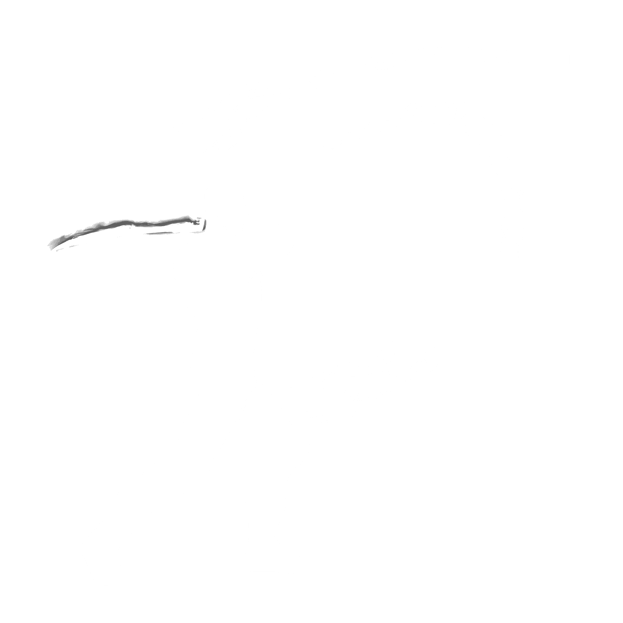 Predator's Sword Slash