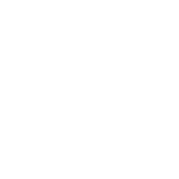 Music Box Mannequin