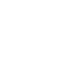 Anticlipse