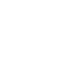 Flames